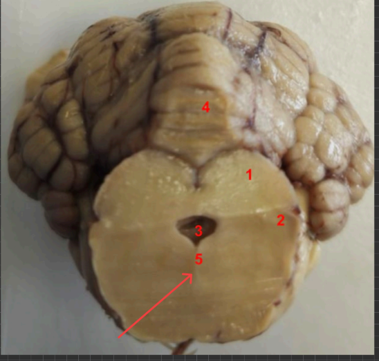 <p>what is this, function?</p>