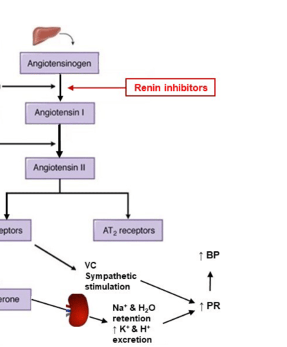 <p>renin inhibitors (ex: Aliskiren)</p><p>REN in akiskiren, RENin inhibitor</p><p>remember, in general "ogen" means precursor, so we're preventing the conversion of angiotensinogen (precursor) into its active form, angiotensin I</p><p>raas pathway is:</p><p>AngiotensINOGEN</p><p>Angiotensin I</p><p>Angiotensin II</p><p>Aldosterone</p>