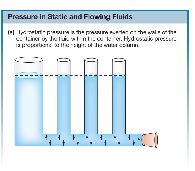 <p>Blood pressure is a form of hydrostatic pressure</p>
