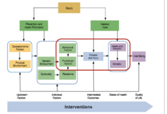 <p>physical environment, socioeconomic factors </p><p>Impact: behaviors, physiological factors (BMI, blood pressure)</p><p>Individual factors</p><p>Individual factors impact intermediate outcomes</p>