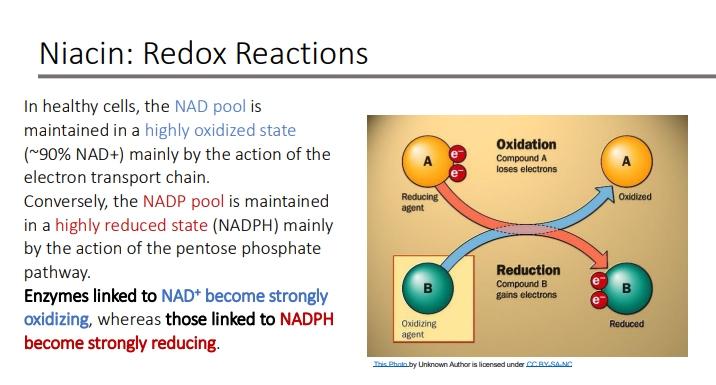 <p>oxidizing; reducing</p>