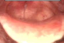 <p>what? (shows at close)</p>