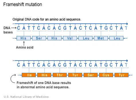 <p>When the number of deleted or inserted base pairs is not a multiple of three, altering all following amino acids.</p>