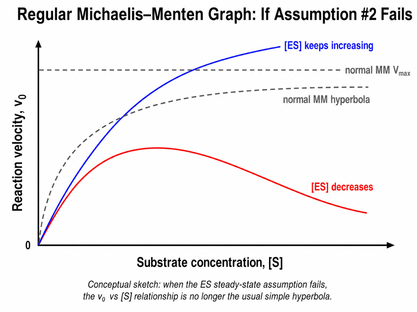 <p>The rate of formation of the ES complex is equal to the rate of dissociation plus breakdown </p><p></p><p>When it fails: </p><ul><li><p>if steady state is not maintained then [ES] is still building up OR [ES] is declining</p></li><li><p>if it is still building up, then the run is still in pre-steady state phase and the ES complex is still accumulating!</p></li><li><p>if it is declining, the substrate is being depleted and there would be less substrate available to form new ES</p></li><li><p>for both scenarios the Vo measurement would be inaccurate</p></li></ul><p></p>