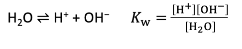 <p>Kw</p><p>water molecules self ionize in a reversible rxn to form H3O+ and OH-</p><p>H+ is never free in an aqueous environment &amp; is always hydrated as H3O+</p><p>M2T3</p>