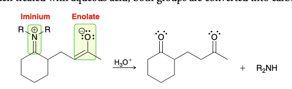 <p>Use H3O+; converts both groups into ketones</p>