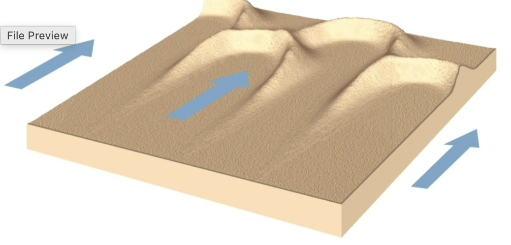 <ul><li><p>crescent shaped </p></li><li><p>tips point upwind</p></li><li><p>commonly in coastal areas with strong onshore winds</p></li><li><p>abundant sand</p></li><li><p>partial cover of vegetation</p></li></ul><p></p>