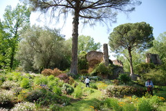 <p>rural or rustic in nature; country-like</p><p>Mr. Pride's farm, with its peaceful green pastures and a babbling brook, was the perfect _______ setting for a picnic.</p>