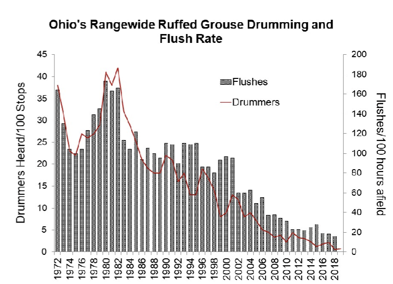 <p>Why have Ruffed Grouse declined in Ohio?</p>