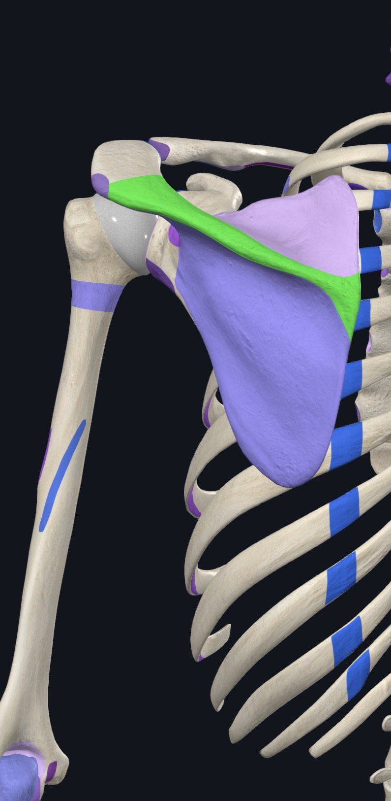 <p>what is this?</p>