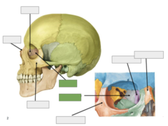 <p>Overview: this is the</p>