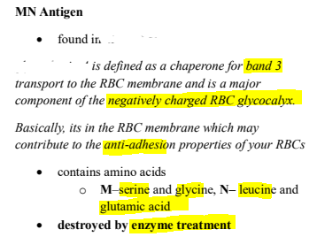 <p><strong><u>MNSs Blood Group </u></strong></p>