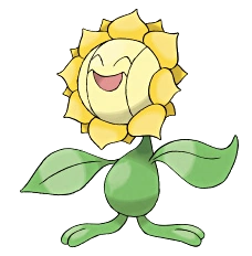 <p>Sunflora</p>