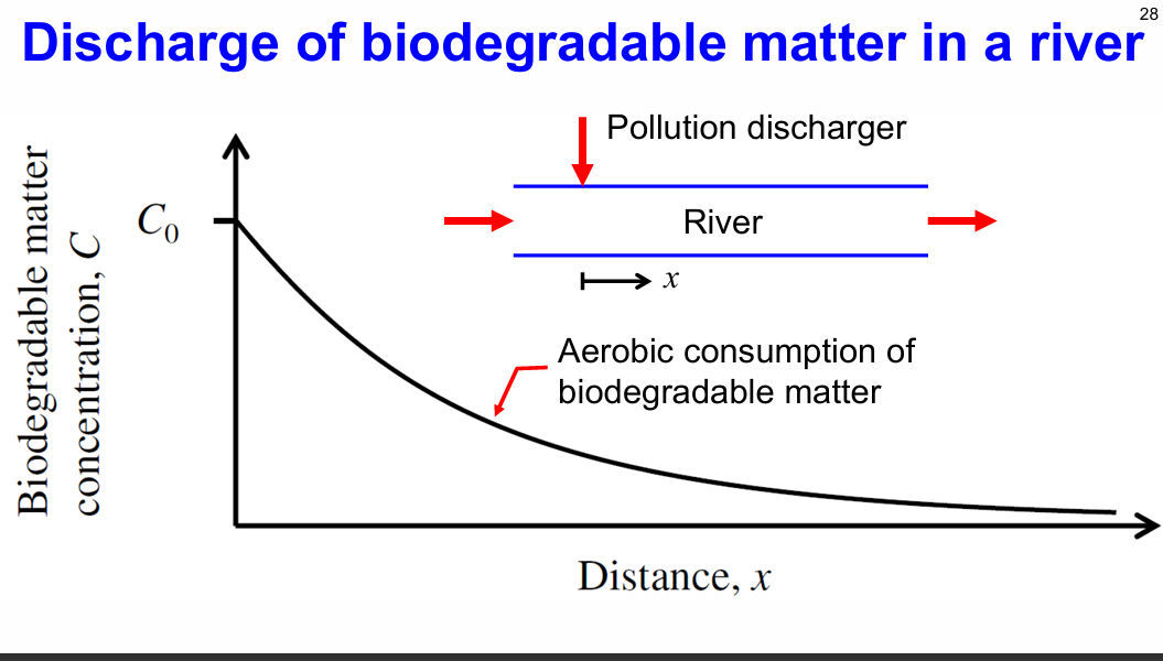 <p>exponential decay graph</p>