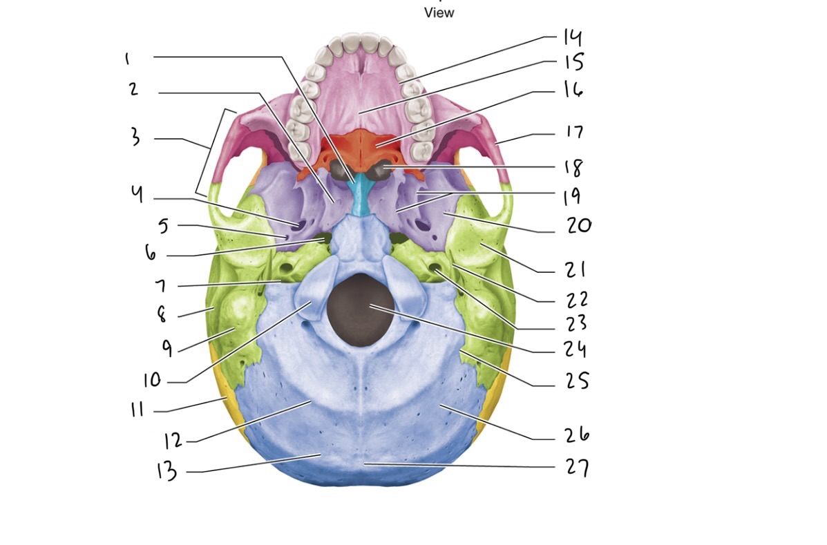 <p>27</p>