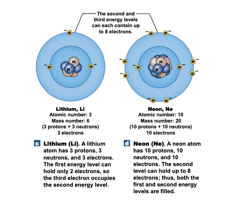 <p>8 electrons max</p>