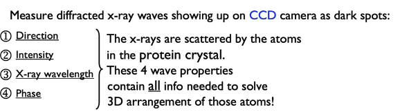 <ul><li><p><span style="background-color: transparent;">Packs of photons</span></p></li></ul><ul><li><p><span style="background-color: transparent;"><strong>Wave and particle properties</strong> through <strong>X-Ray beam (high energy light)</strong> with an oscillating electromagnetic wave</span></p></li><li><p><span style="background-color: transparent;">Range of X-Ray wavelengths possible&nbsp;</span></p></li></ul><p></p>