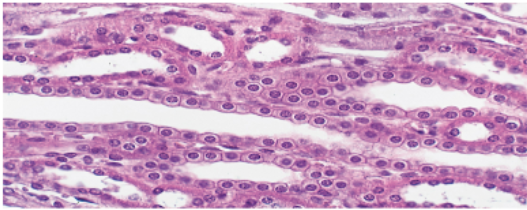 <p>Slide 2</p>