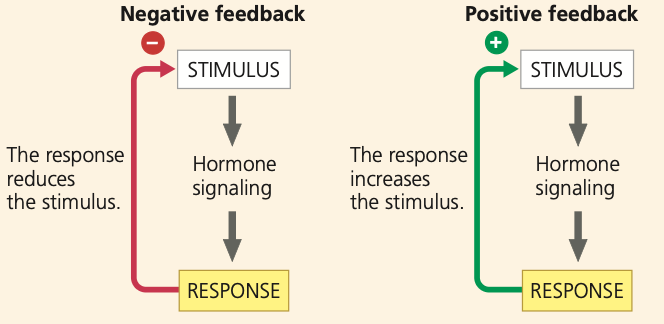 <p>A positive feedback or a negative feedback.</p>