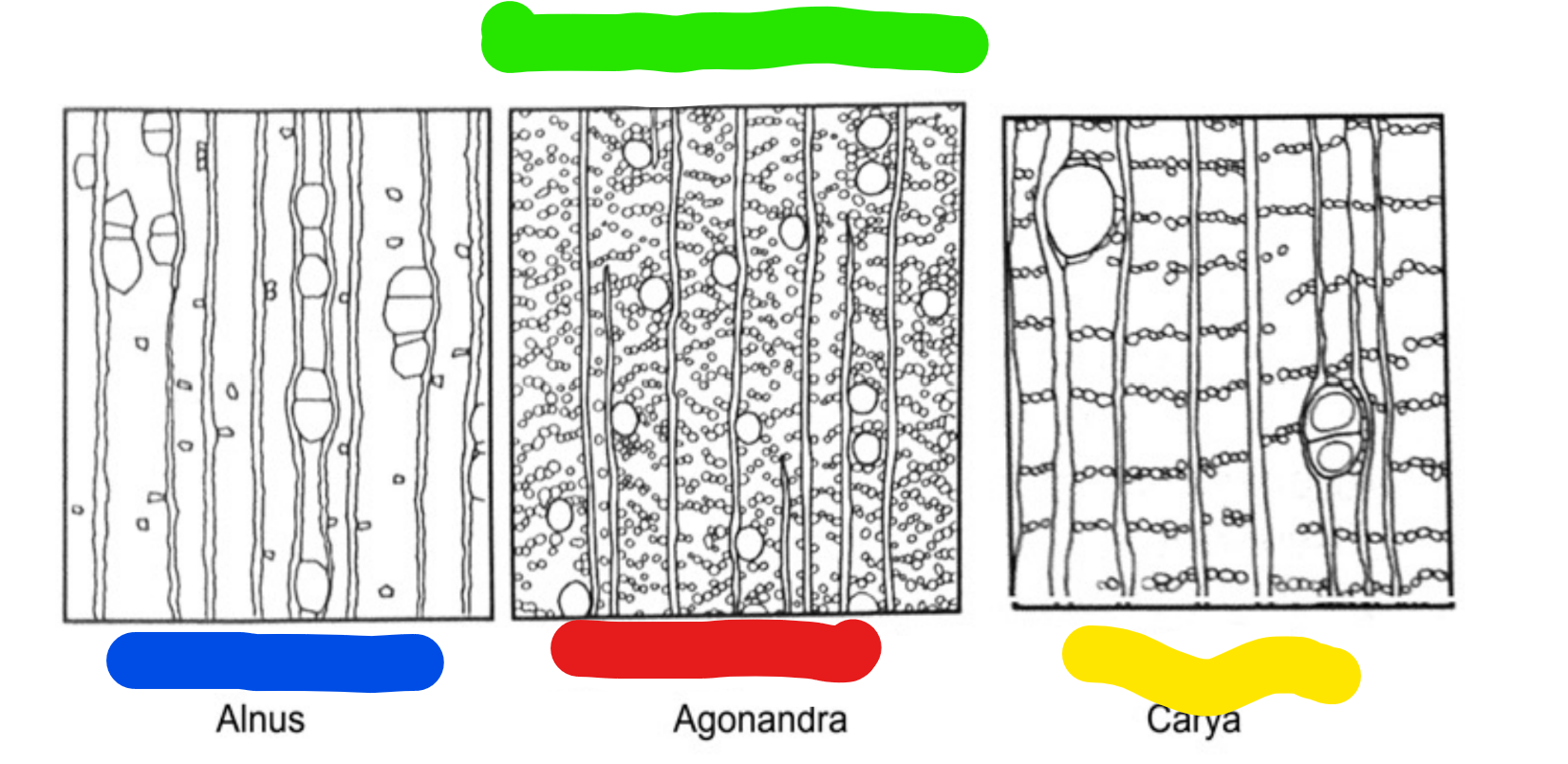 <p>Name all this, and give the signs </p>