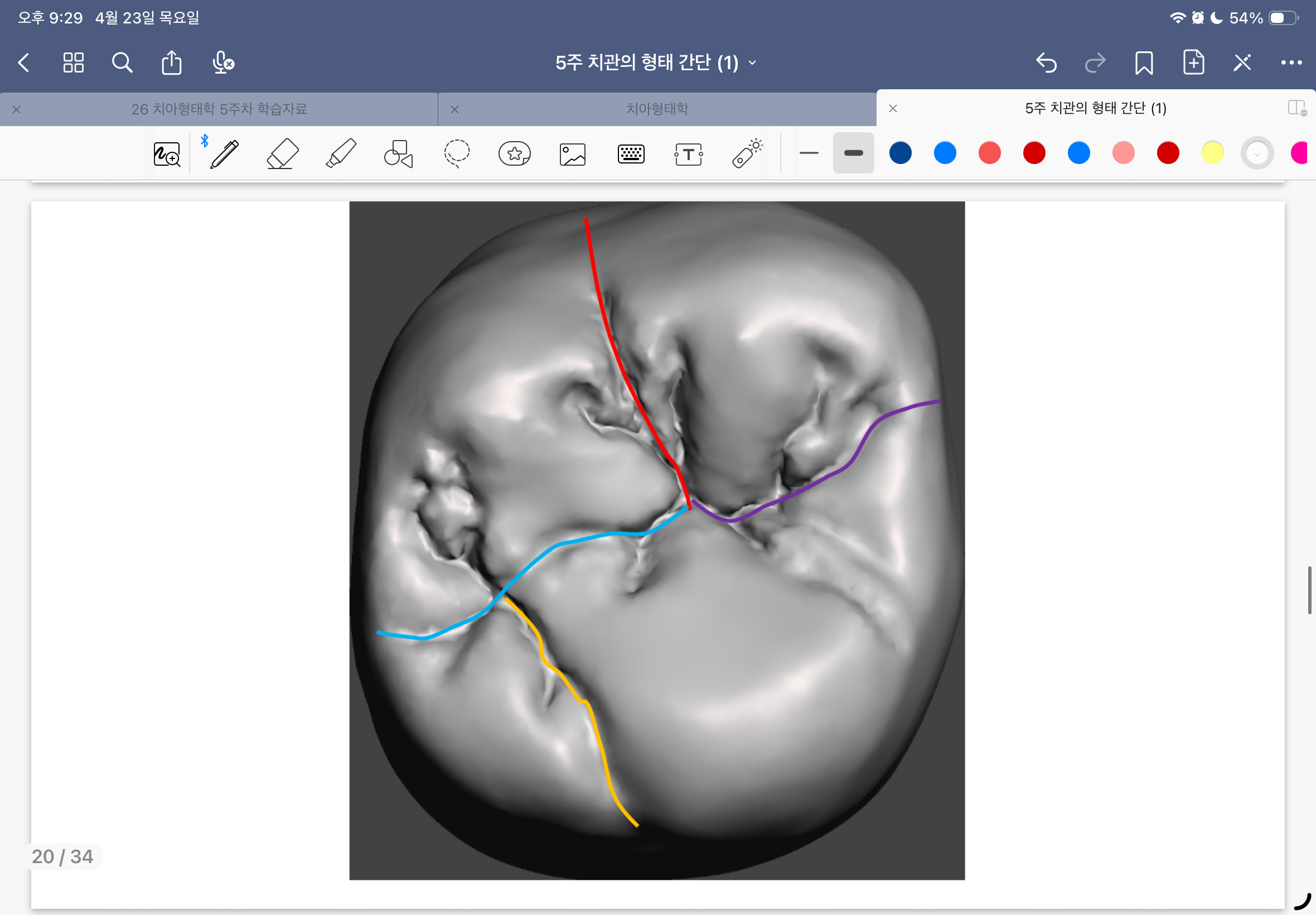 <p>노란색 선(한글, 영문)</p>