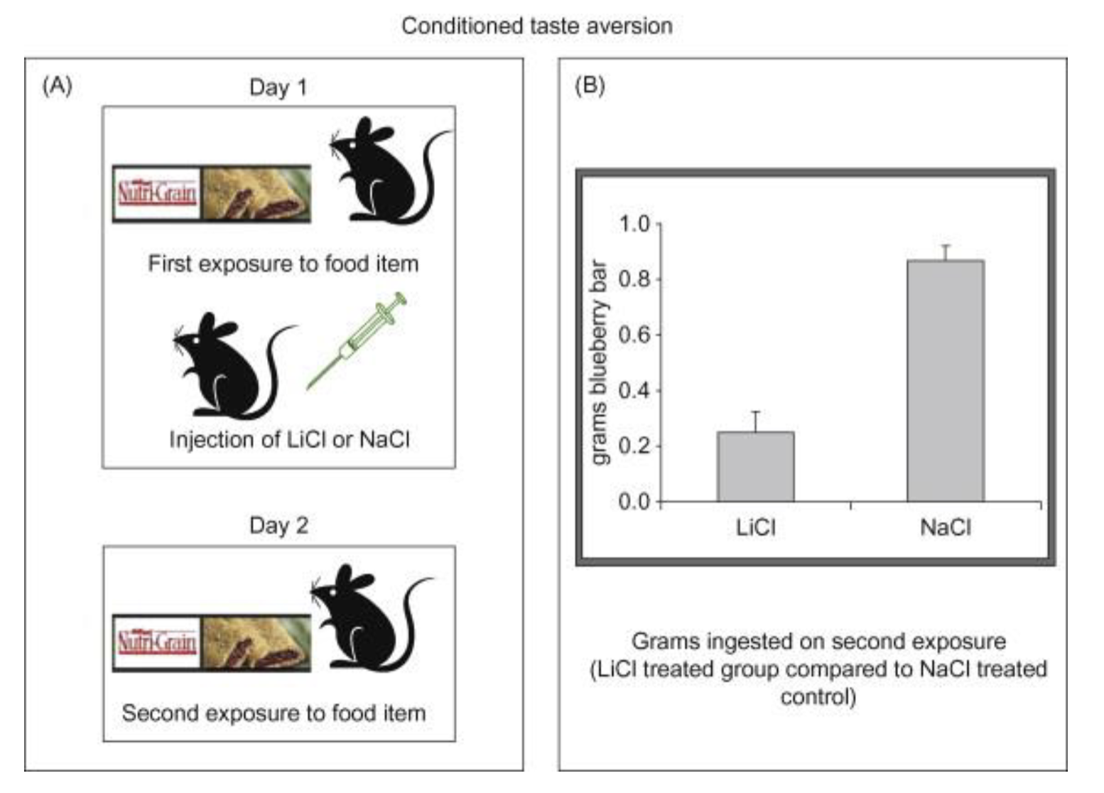 <p>Rats condtitioned to associate certain foods with nausea → causes the rats to avoid that food</p>