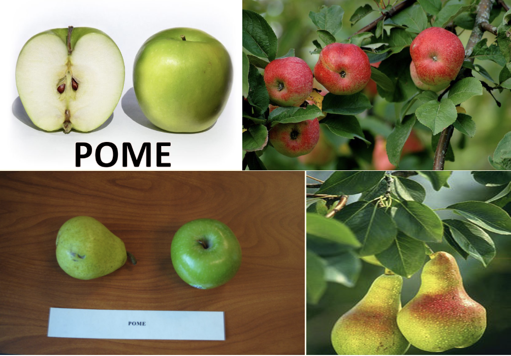 <p>What is this?</p>