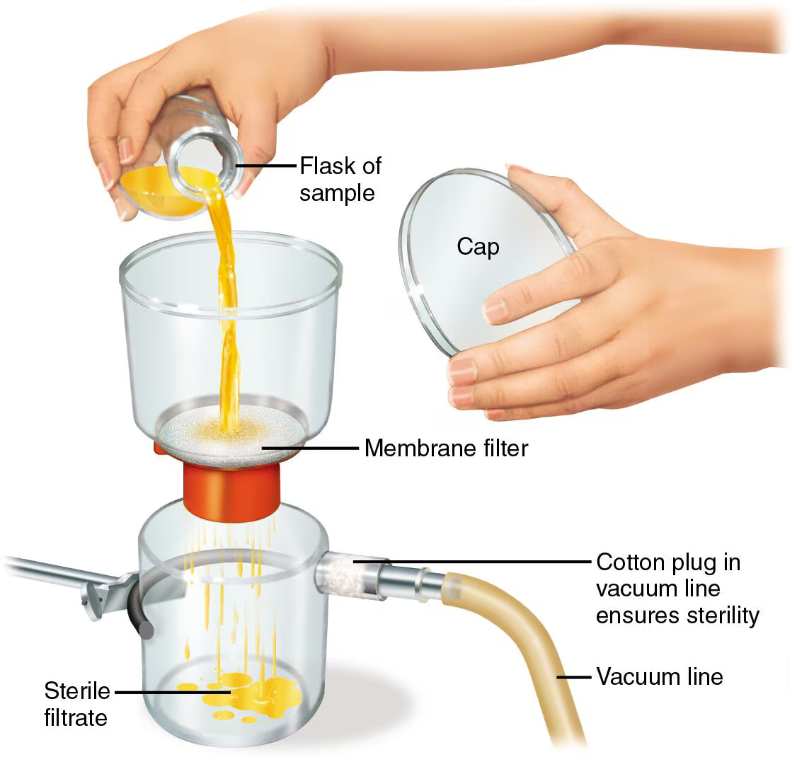 <p>Removes microbes >0.05-0.22 micrometer ; can filter viruses and large proteins</p>