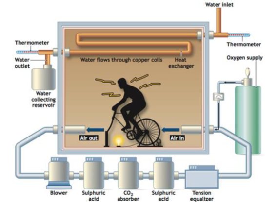 <ul><li><p>Measuring directly the heat production</p></li></ul><p>Pros and cons</p><ul><li><p>Pros</p><ul><li><p>Accurate over long recording periods</p></li><li><p>Good for resting metabolic measurements</p></li></ul></li><li><p>Cons</p><ul><li><p>Limited practical applications:</p></li><li><p>Require considerable time and expense</p></li><li><p>Requires formidable engineering expertise</p></li><li><p>Inapplicable for energy determinations for most sports, occupational, and recreational activities</p></li></ul></li></ul><p></p>