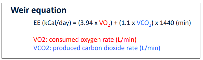 <p>They determine <strong>energy expenditure (calories used)</strong> and the <strong>type of fuel</strong> being oxidized.</p>