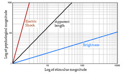 <p>According to Stevens' law, what is the relationship between log sensation magnitude and log stimulus intensity?</p>