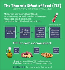 <p>The increase in energy expenditure associated with the processing of food.</p>