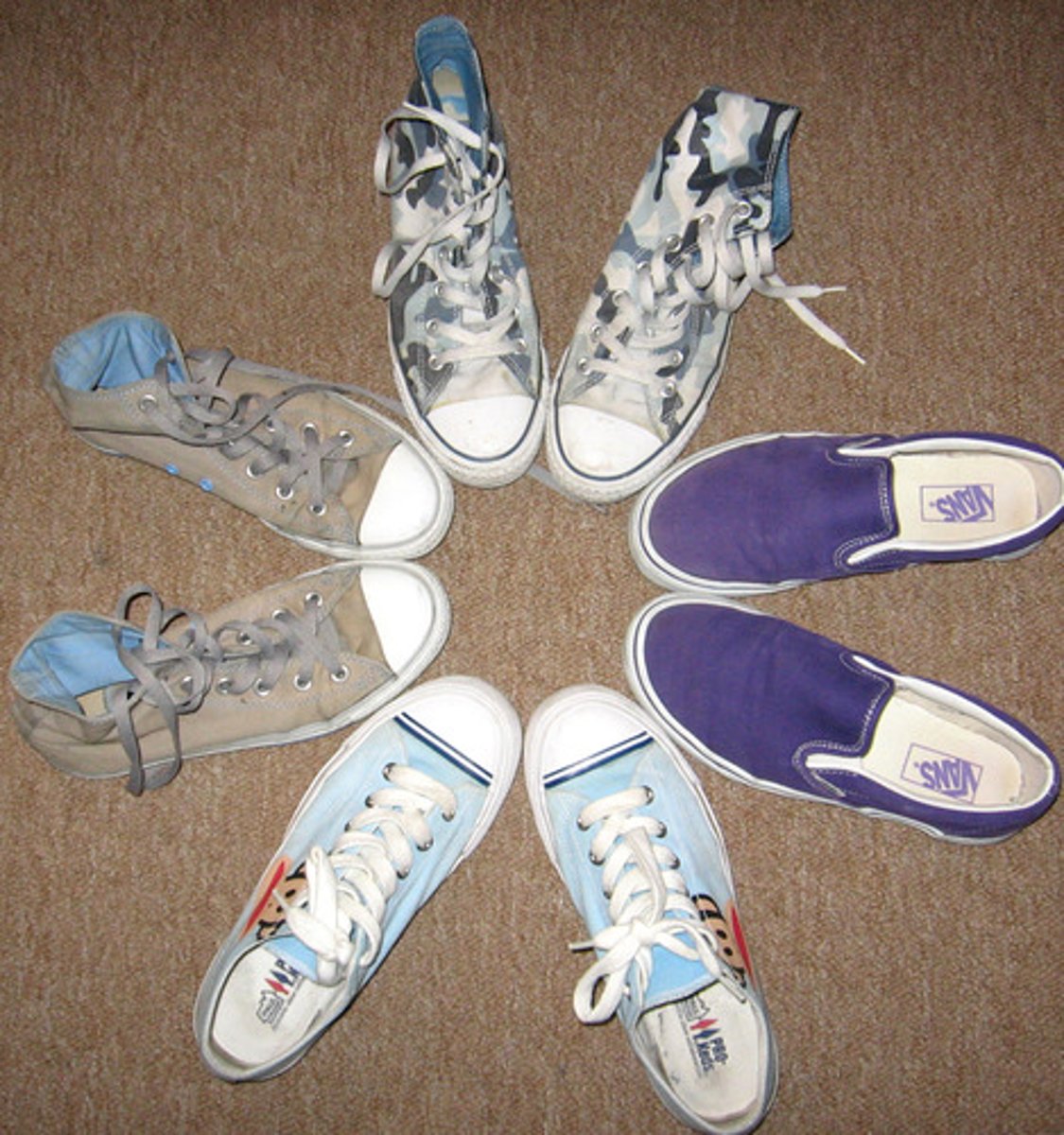 <p>the shoes</p>