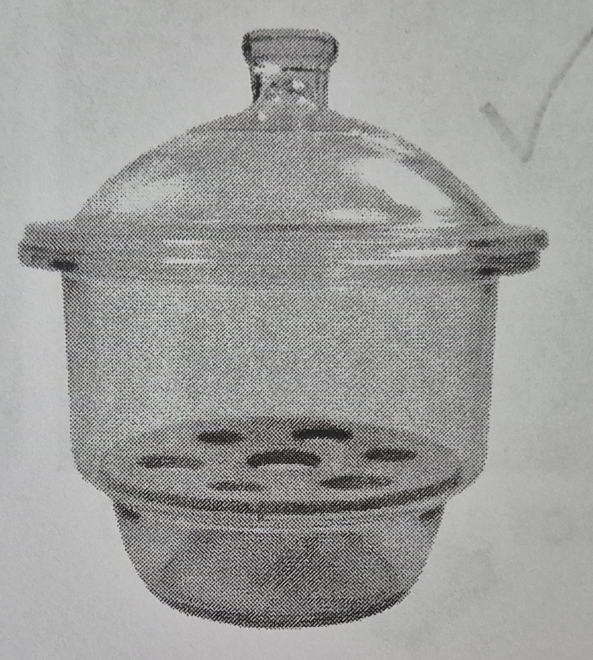 term image