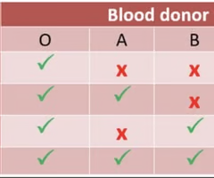 <p><span>type and screen, consent, culture consent, IV patency- has to be started within 30 mins, VS before and every 15 mins, hang with normal saline</span></p>