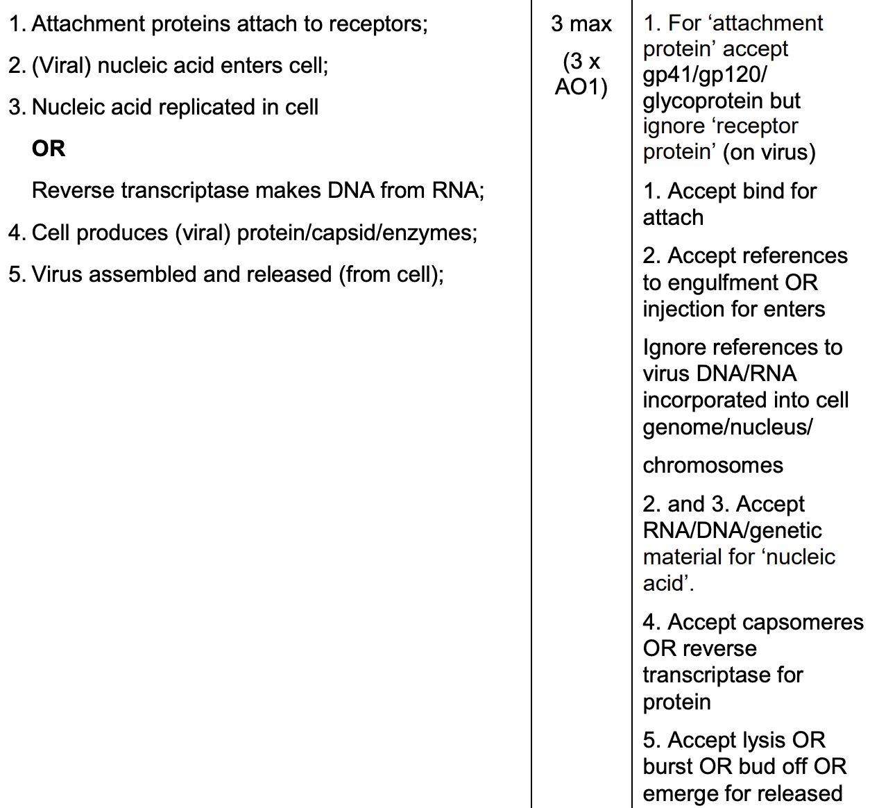 <ul><li><p>attachment proteins attach to <strong>receptors</strong> </p></li><li><p>nucleic acid/DNA/RNA enters cell</p></li><li><p>nucleic acid replicated in cell/reverse transcriptase makes DNA from RNA</p></li><li><p>cell produces protein/capsid/enzymes</p></li><li><p>virus assembled and released from cell </p></li></ul><p></p>