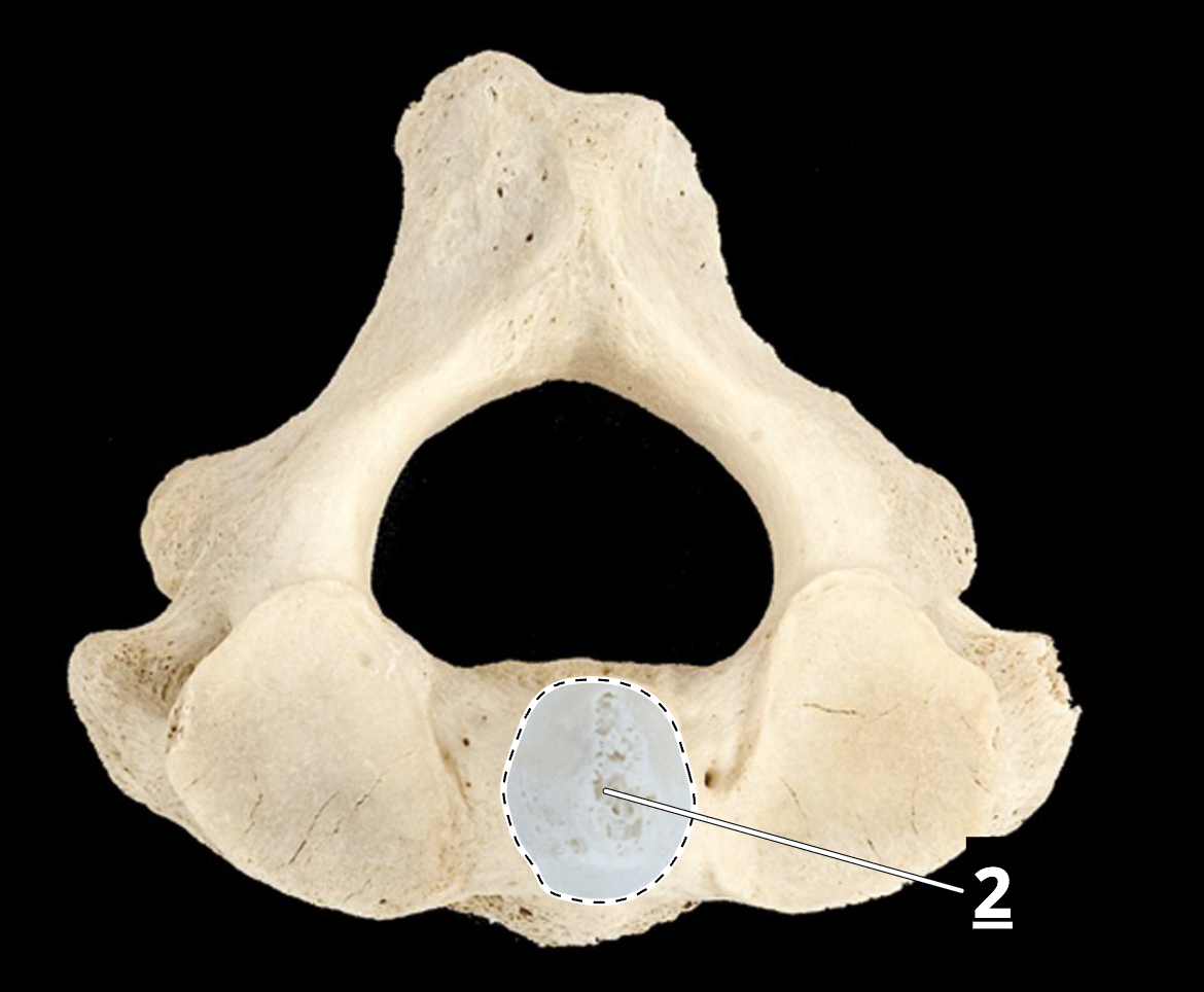 <p>2</p>