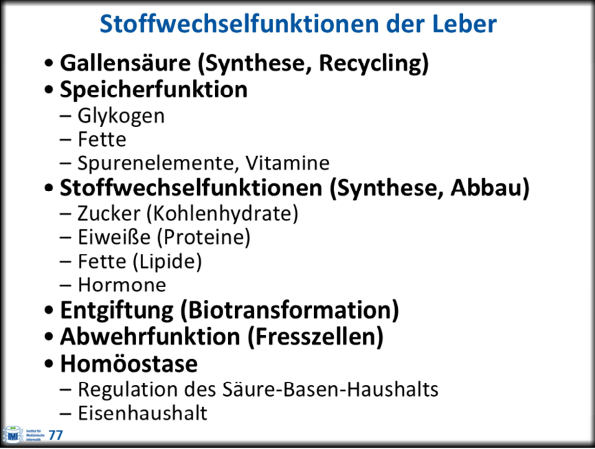 <ul><li><p><strong>Speicherfunktion:</strong> gespeichertes Glycogen (bis 10% des Lebergewichts) →entspricht 100-350 Zucker und Kohlenhydrate</p></li><li><p><strong>Stoffwechselfunktionen:</strong> 1. “interdigestive“ Phase (Glykogen→ Glukose) 2. “digestive“ Phase (Glukose → Glykogen); Proteinsynthese 15-50g pro Tag</p></li><li><p><strong>Entgiftung (Biotransformation):</strong> 1.Phase: Oxidation von Giftstoffen (enzymatisch); 2.Phase: Konjugation der Produkte (→Wasserlöslichkeit)</p></li><li><p><strong>Abwehrfunktion (Fresszellen): </strong> kupffer-Sternzelle </p></li><li><p><strong>Homöostase: </strong> + Regulation des Säure-Basen-Haushalts + Eisenhaushalt</p></li></ul><p></p>