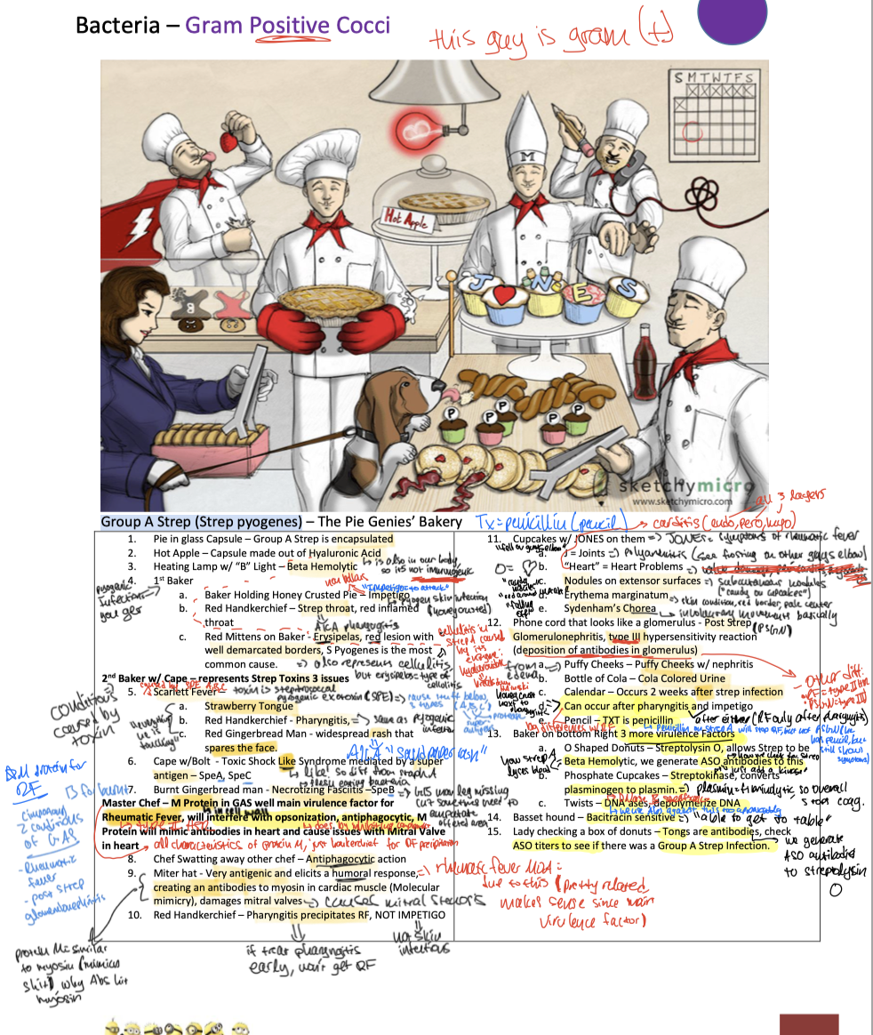 knowt flashcard image