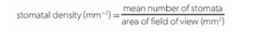 <p>stomatal density (mm<sup>-2</sup>) = (average number of stomata) / area of field view (mm<sup>2</sup>)</p>