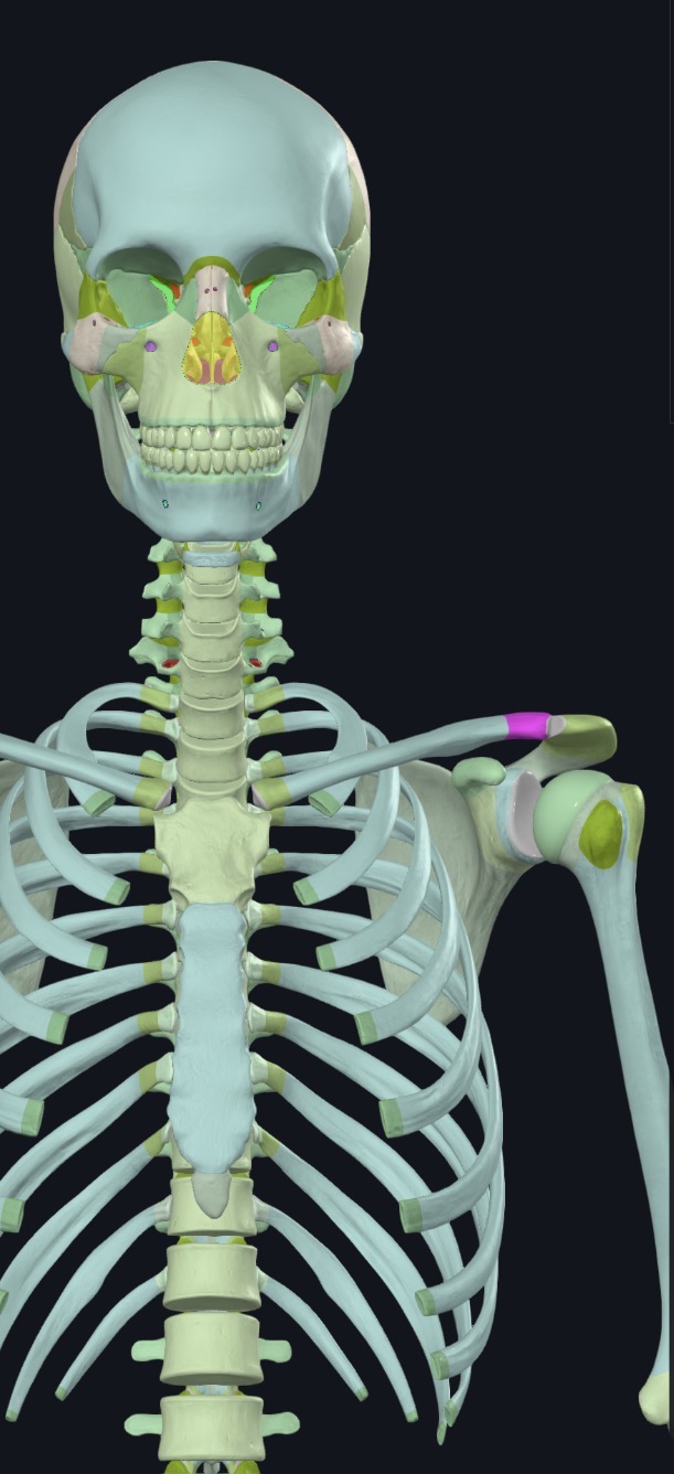 <p>what is this?</p>