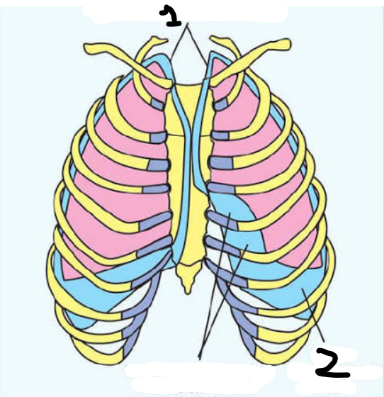 <p>2</p>