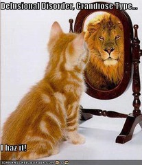 <p>having false or unrealistic beliefs or opinions</p>