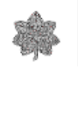 <p>What rank is this? </p>