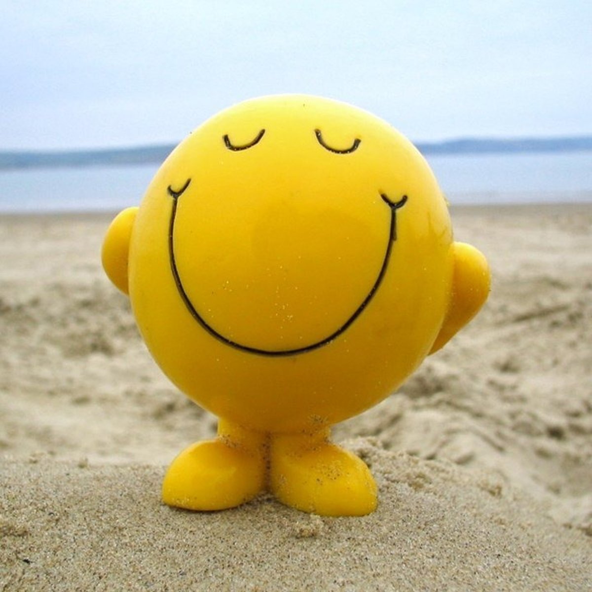 <p>satisfied</p>