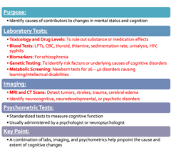 <p>-labs, imaging and psychometrics help pinpoint cause and extent of cognitive changes</p>