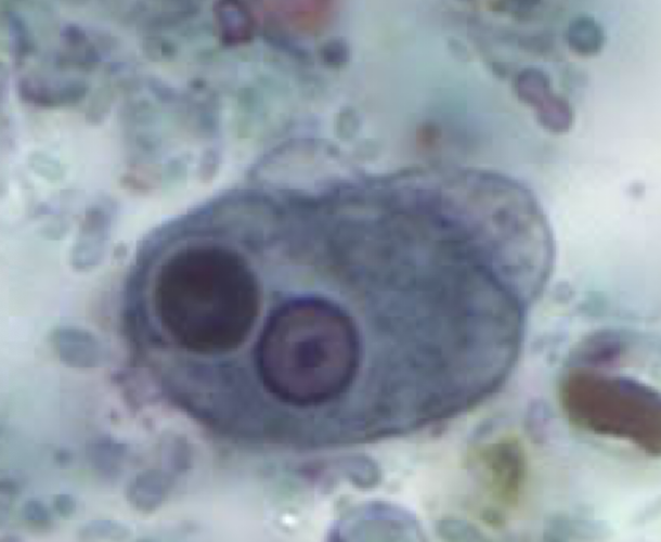 <p>what is this an example of?</p>