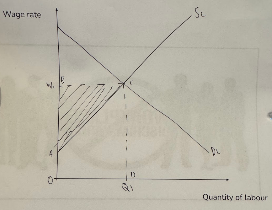 <ul><li><p>Original Wage Bill without Discrimination = Area OBCD</p></li><li><p>New Wage Bill = OACD</p></li><li><p>Area that monopsony gains = ABC</p></li></ul><p></p>