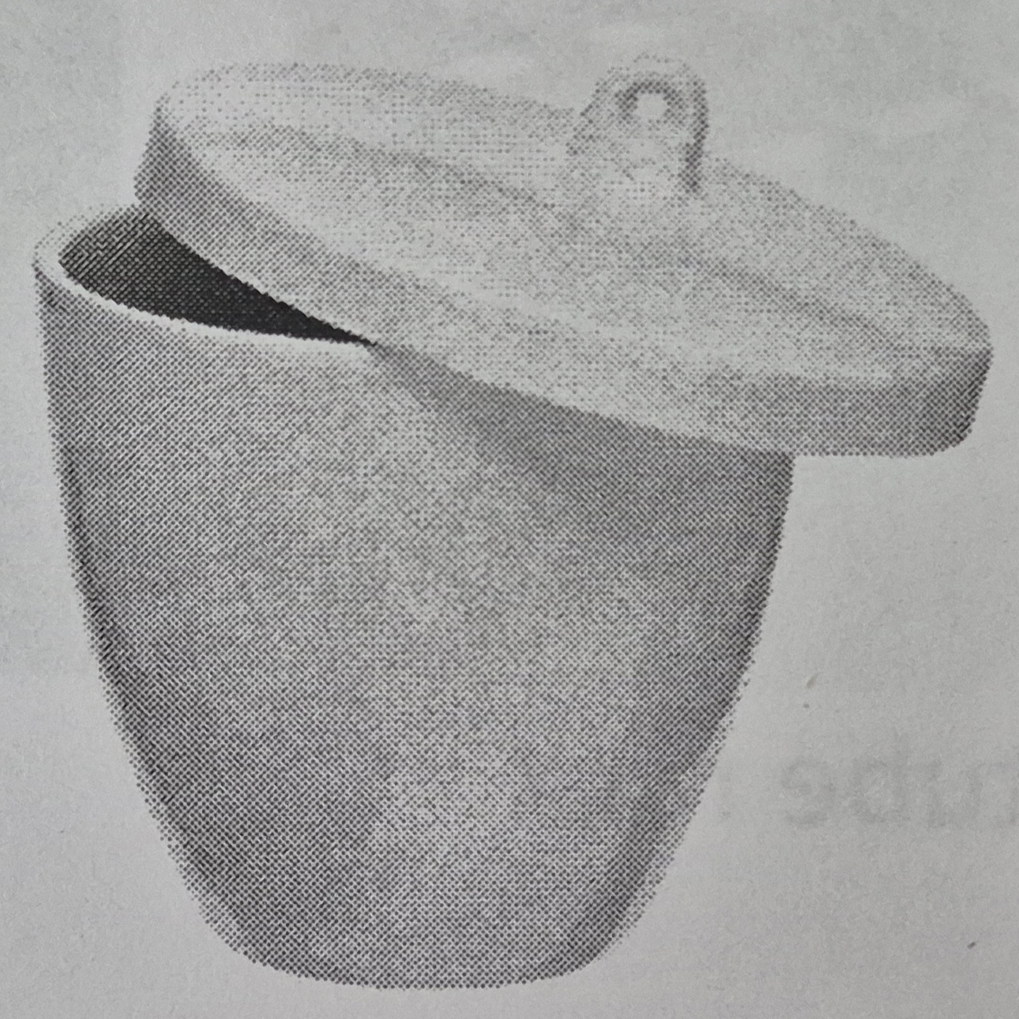 term image