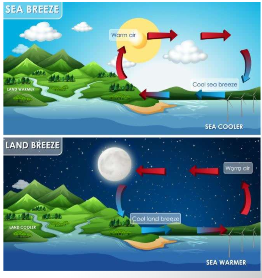 <p>Convective cells & albedo - daily wind shift patterns. Local circulation patterns right at the lake.</p>